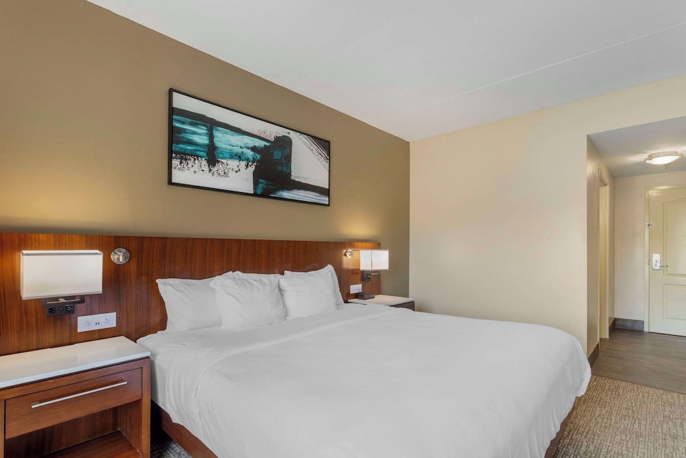 Suite - Photo 1