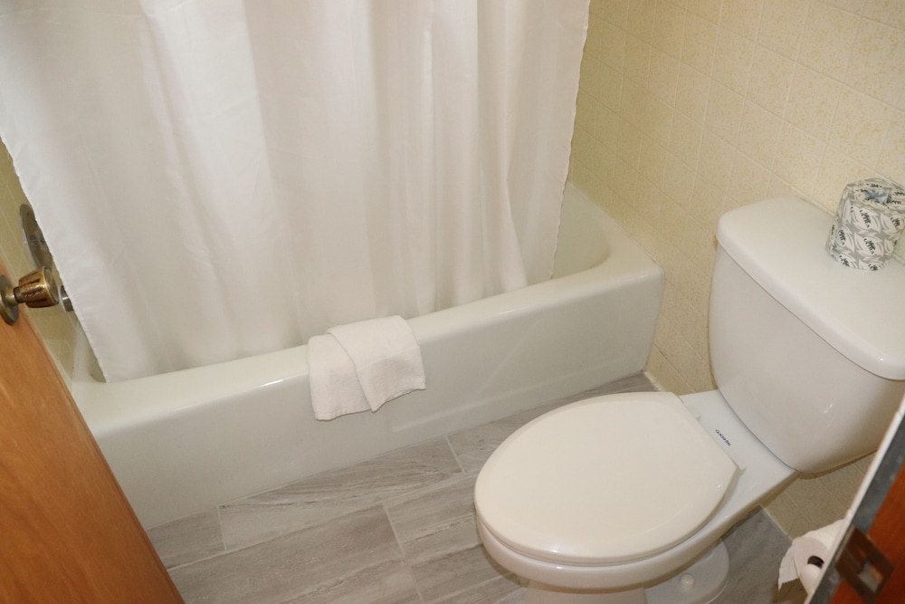 Basic Suite, 1 King Bed photo 3