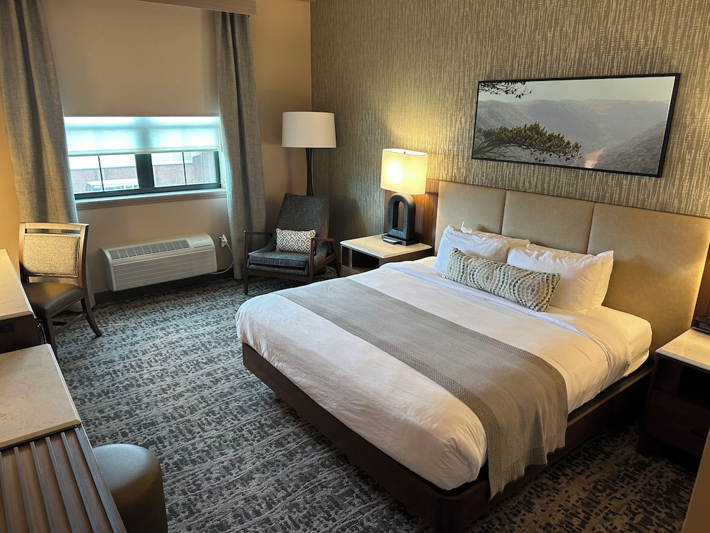 Deluxe Room, 1 King Bed photo 1