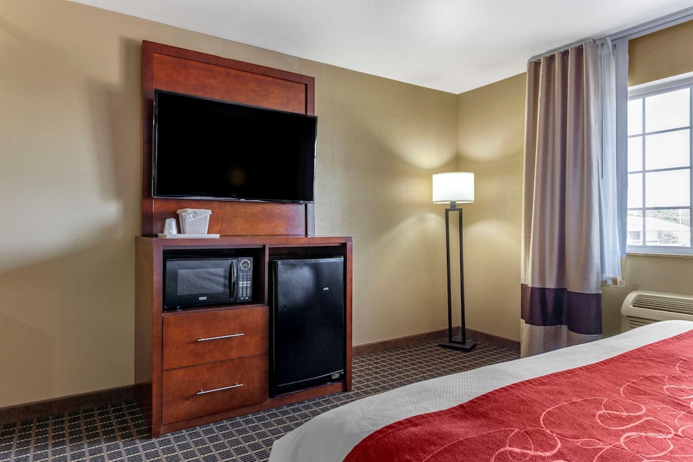 Suite, 1 King Bed photo 2