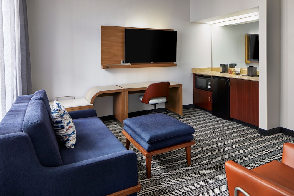 Suite, 1 King Bed with Sofa bed