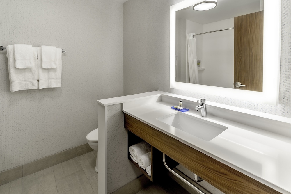 Suite, 1 King Bed, Roll-in Shower (Communications) - Photo 5