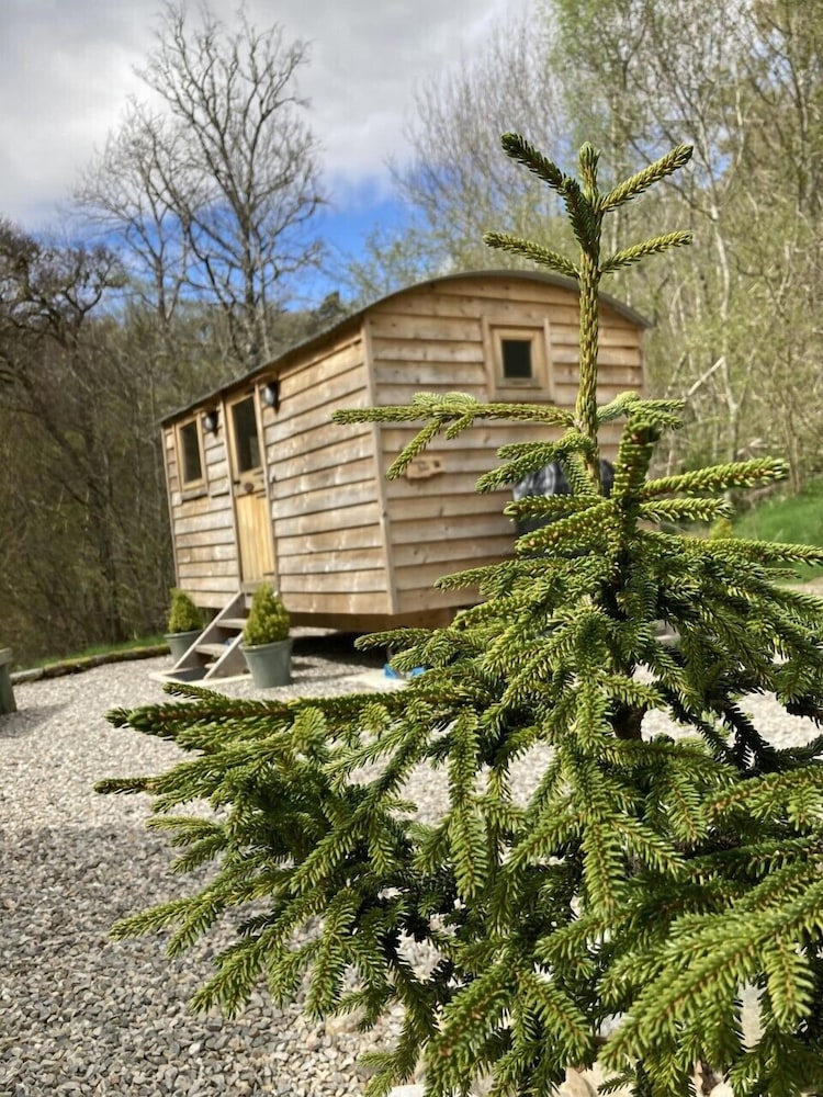 Hut Ensuite-Woodland view (Fraser Shepherd Hut)