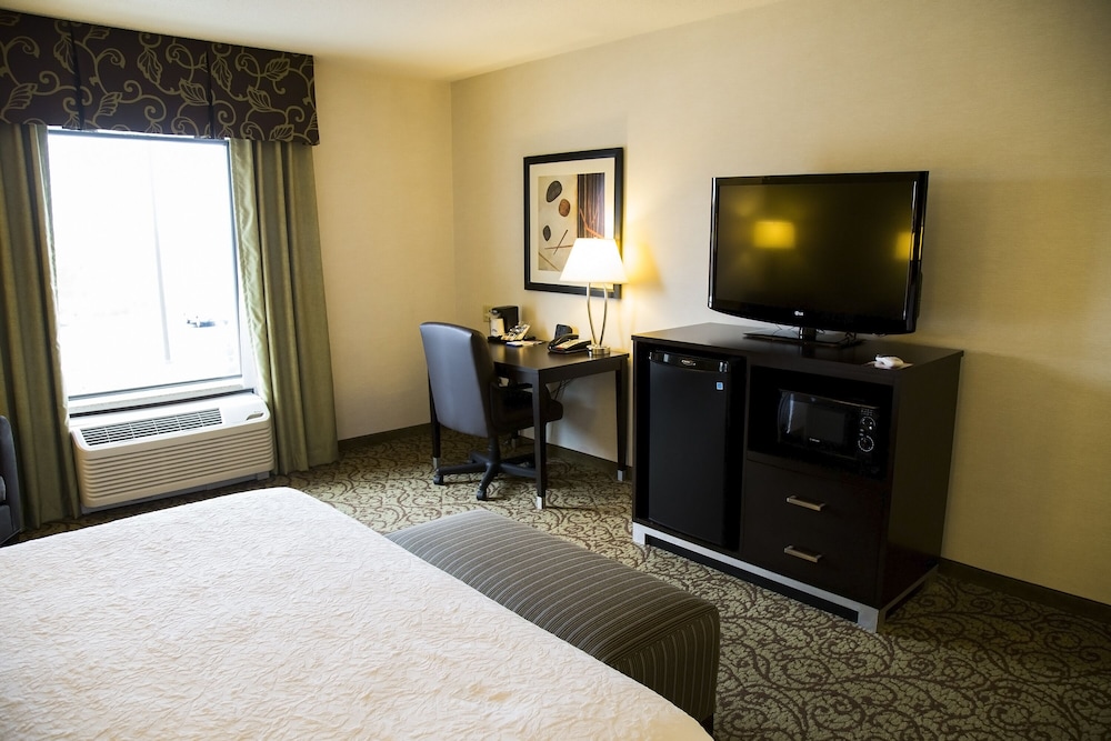 Room, 1 King Bed, Accessible, Non Smoking - Photo 5