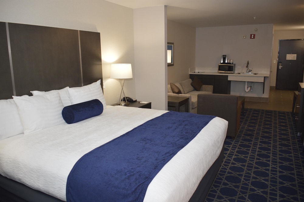 Suite, 1 King Bed With Sofa Bed, Accessible, Refrigerator & Microwave (With Sofabed) photo 1