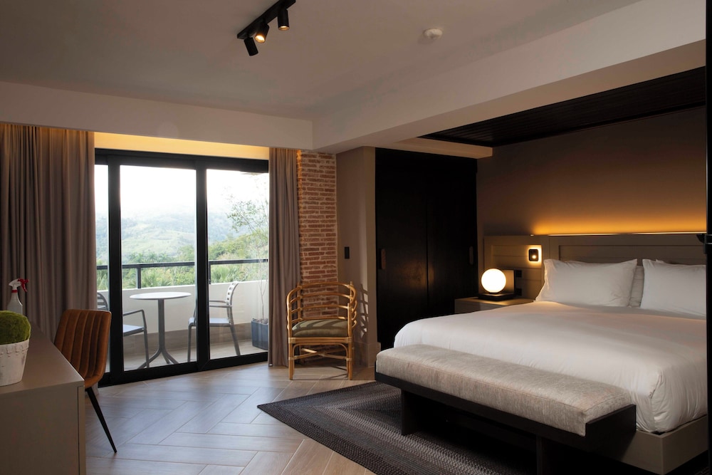 Junior Single Room, Garden View