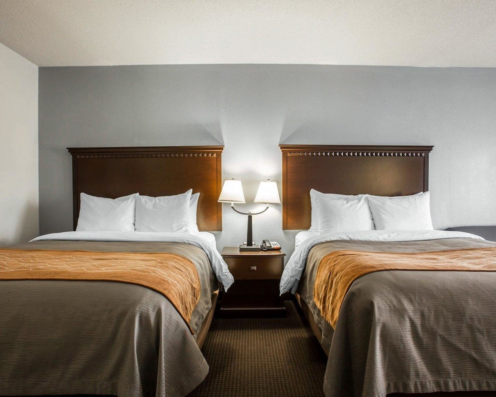 Standard Suite, Multiple Beds (Studio Suite 2 queen beds w/ sofabed) - Photo 3