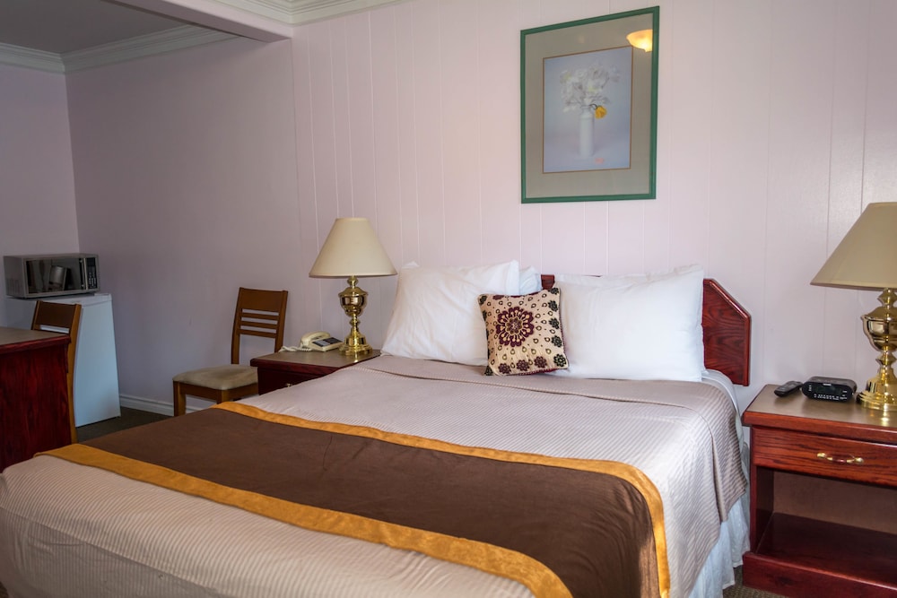 Standard Single Room photo 3