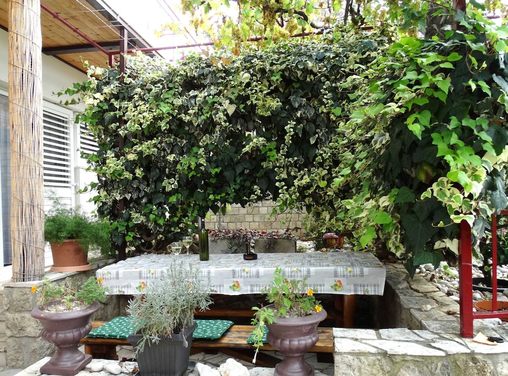 Apartment (One Bedroom Apartment with Terrace)