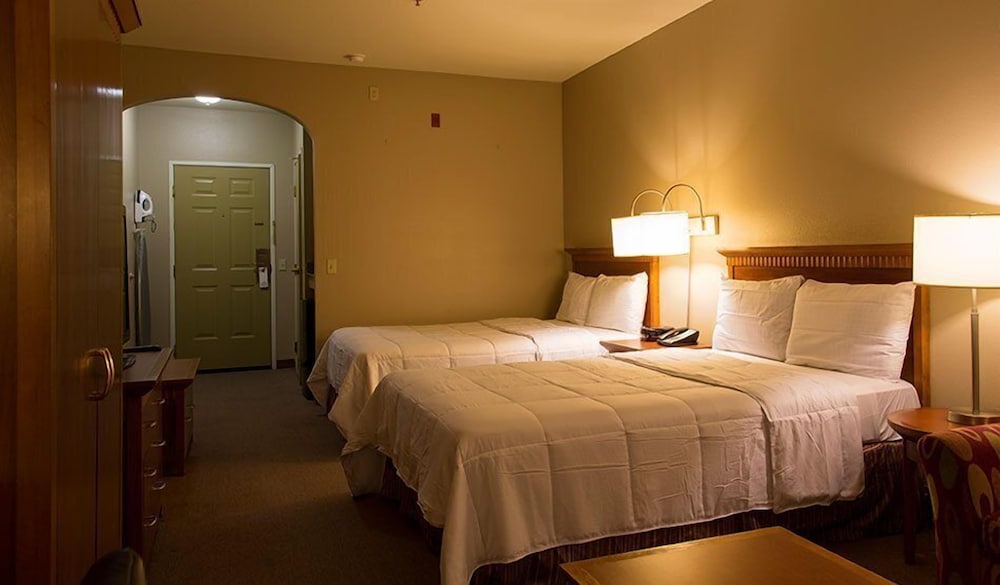 Executive Suite, 2 Double Beds photo 2