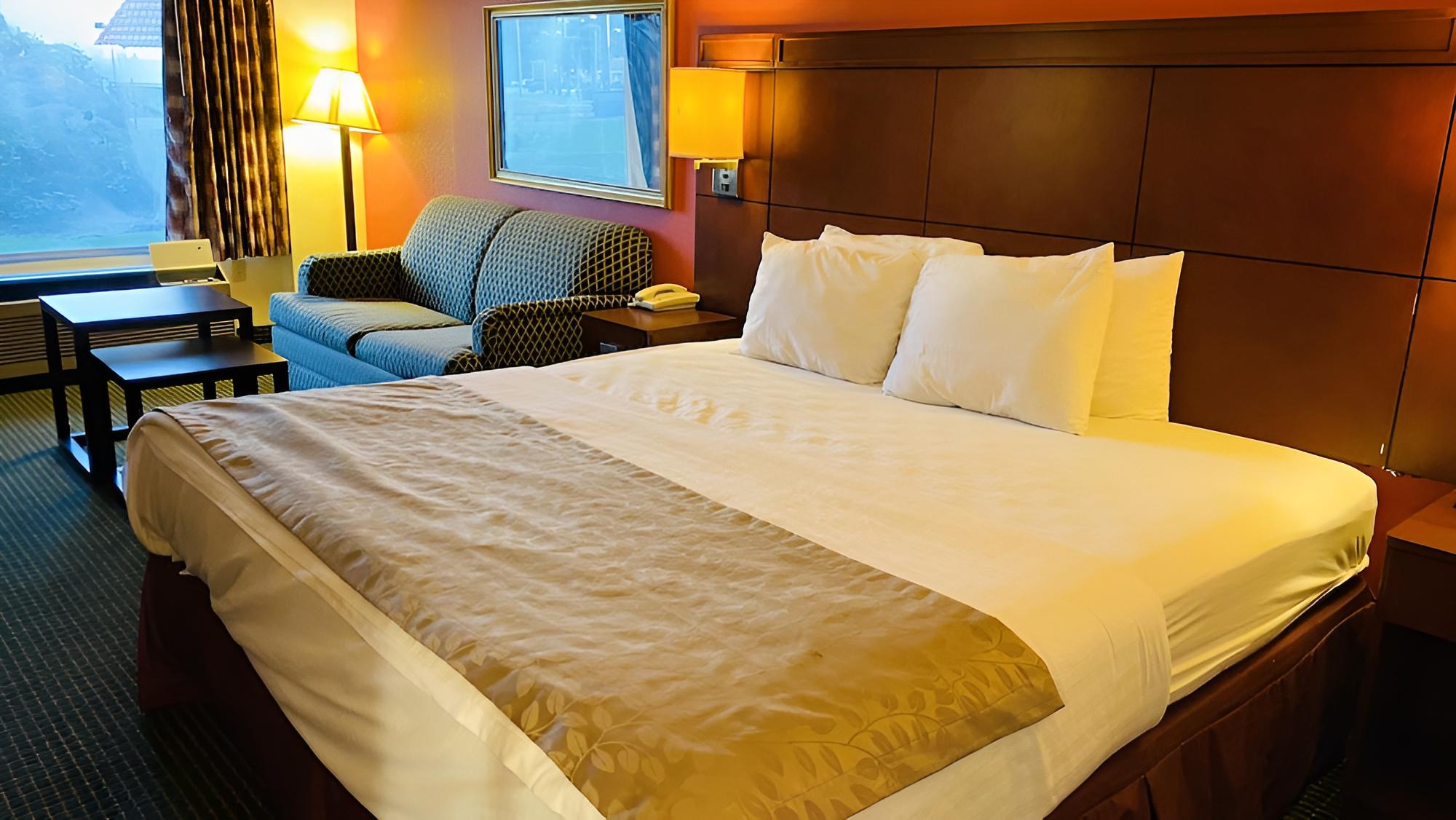 Room, 1 King Bed, Non Smoking photo 2