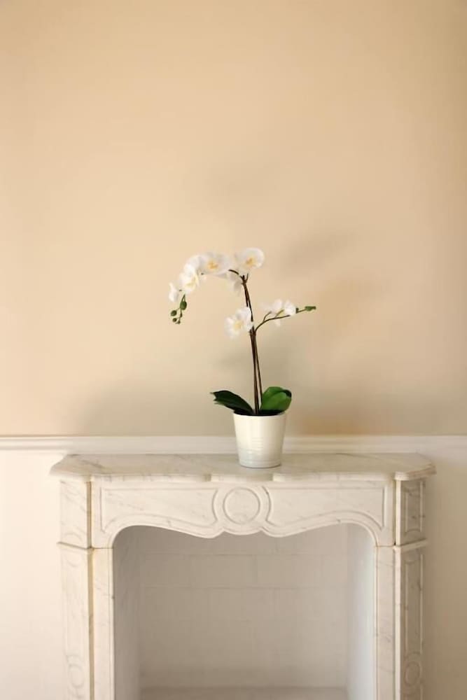 Family Room photo 3