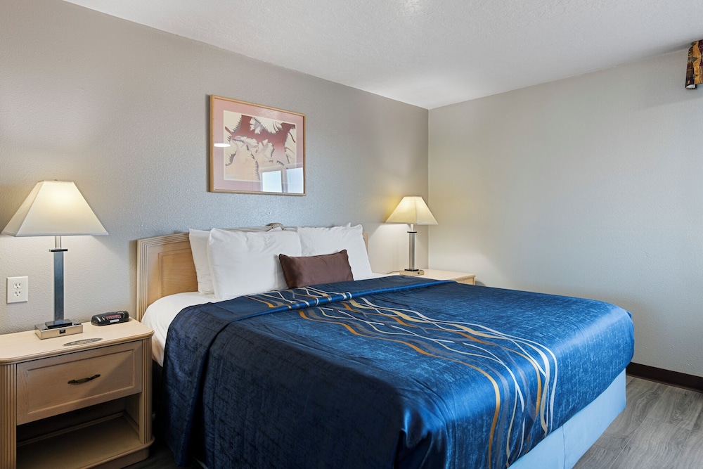Superior Room, 1 King Bed, Non Smoking photo 1