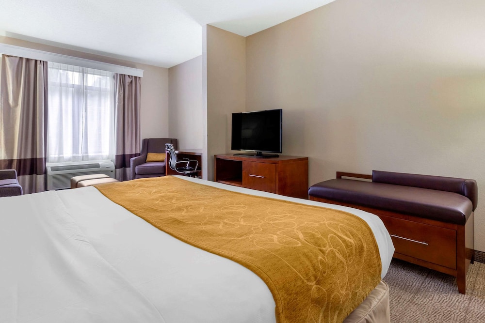 Suite, 1 King Bed with Sofa bed photo 3