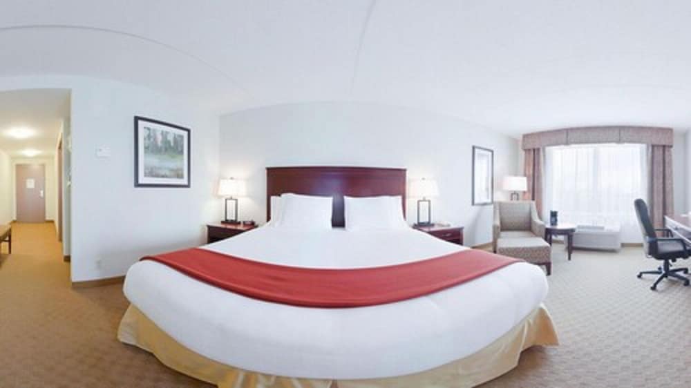 Suite, 1 King Bed with Sofa bed - Photo 4