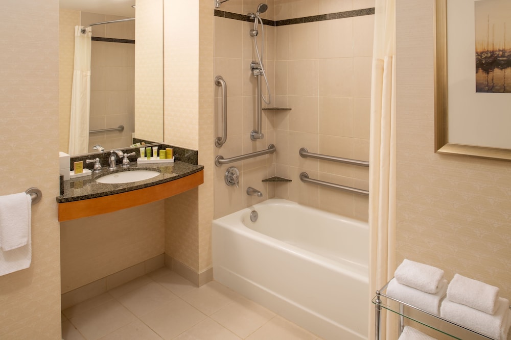 Room, 1 King Bed, Accessible, Park View (Bathtub) - Photo 3