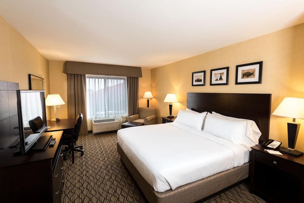 Suite, 1 King Bed, Non Smoking photo 1