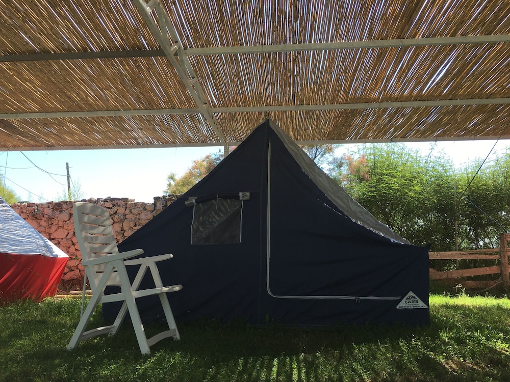 Standard Tent photo 2