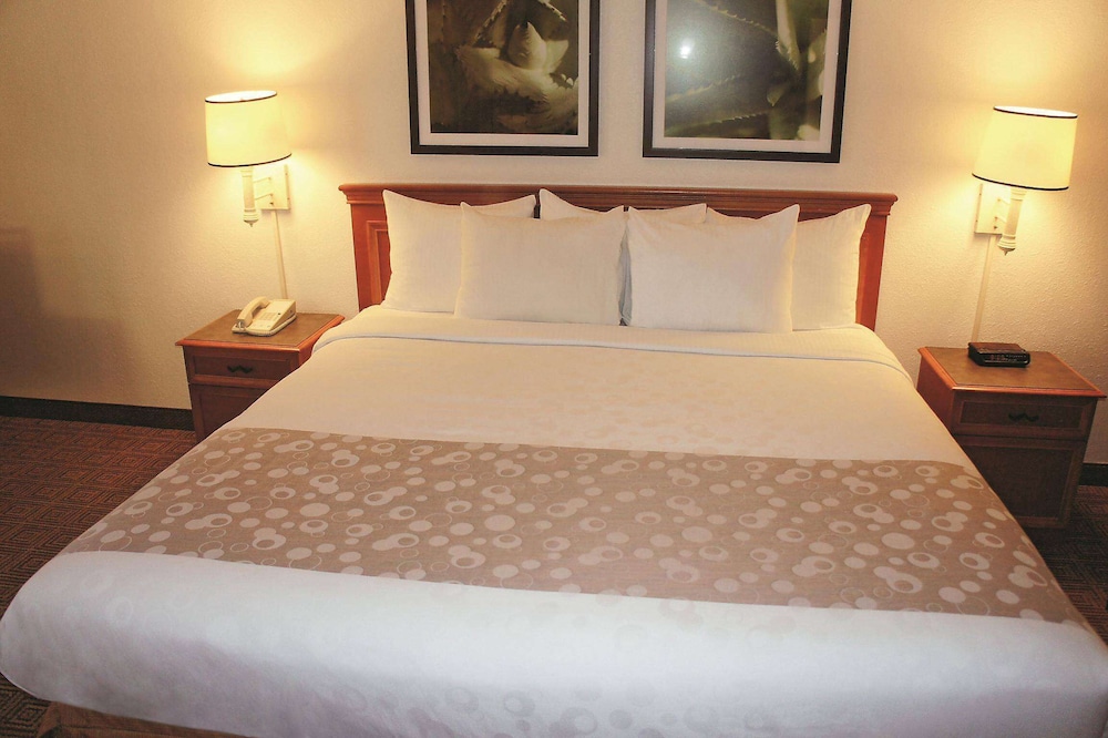 Suite, 1 Bedroom, Non Smoking photo 1