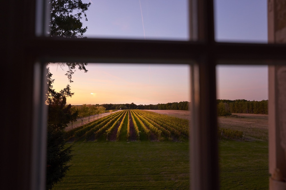 Vignes Cottage photo 2