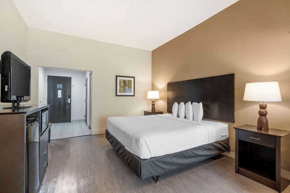 Suite, 1 King Bed, Accessible, Non Smoking (with Sofabed) - Photo 2