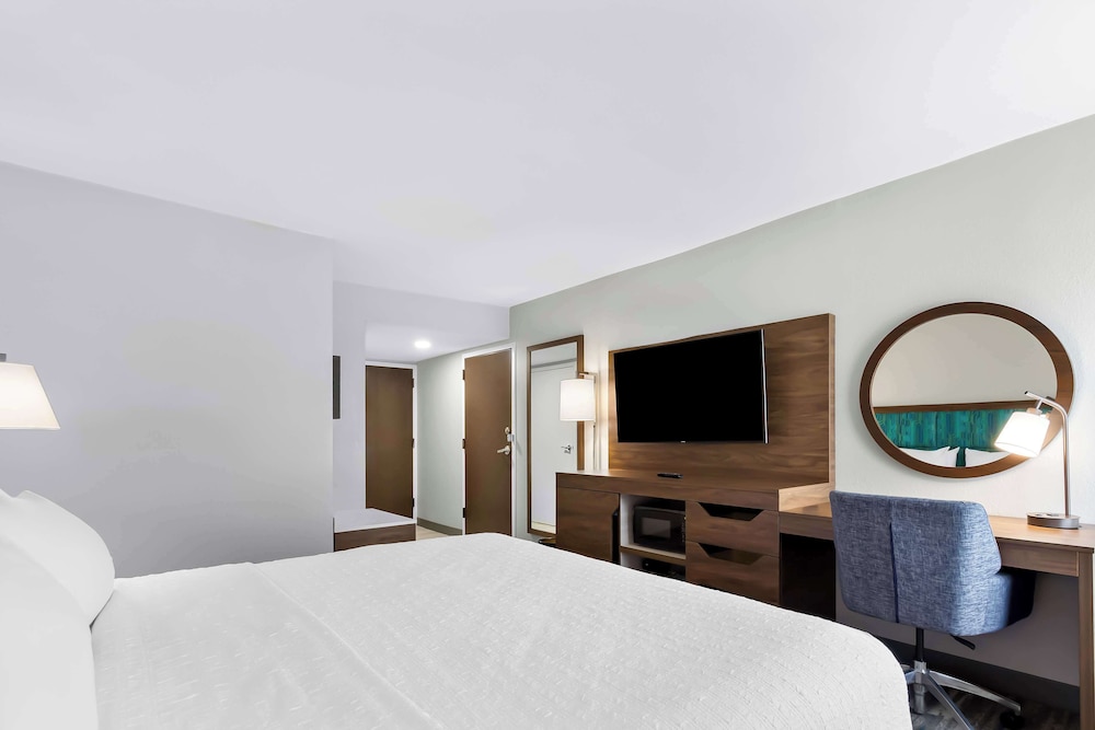 Room, 1 King Bed, Accessible, Bathtub