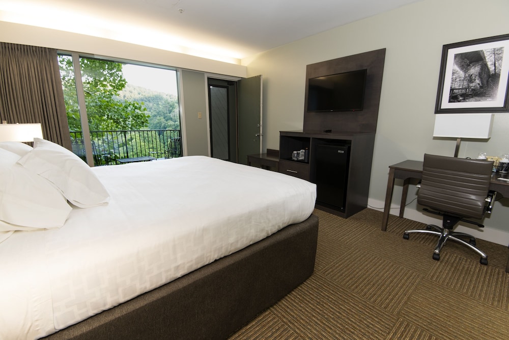 Room, 1 King Bed photo 3