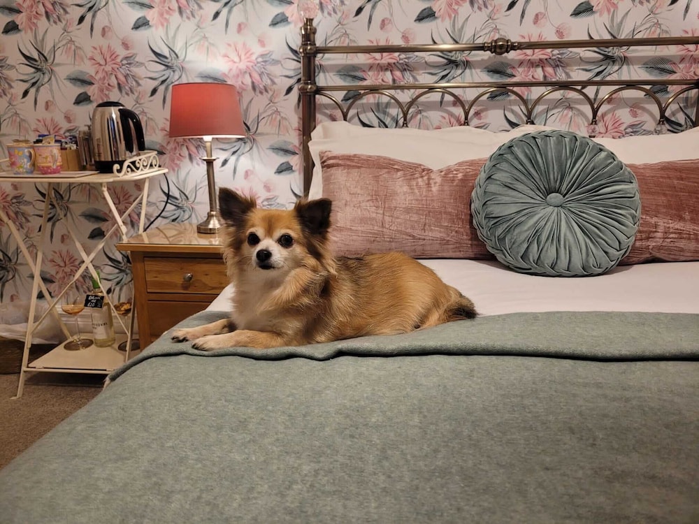 Standard Double Room, Ensuite (Dogrose Rest) photo 1