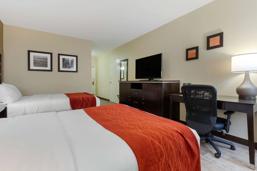 Comfort Inn North of Asheville, Billede 10