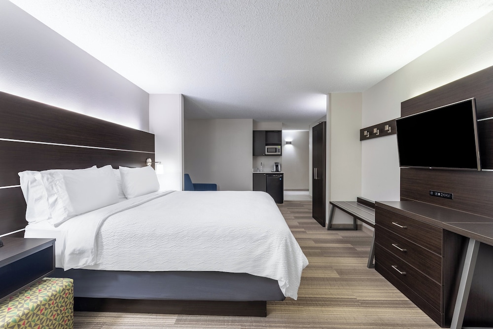 Suite, 1 King Bed - Photo 7