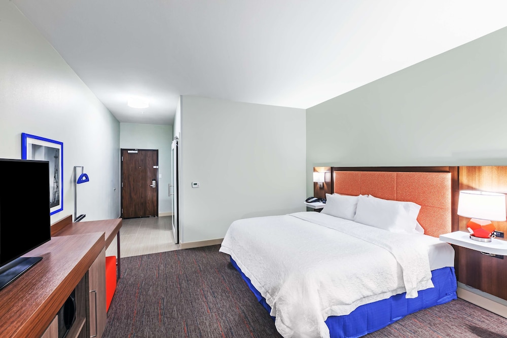 Room, 1 King Bed