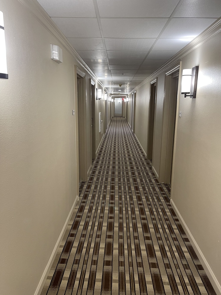 Standard Room, 1 King Bed, Non Smoking - Photo 4