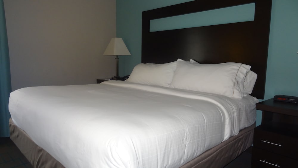 Standard Room, 1 King Bed, Jetted Tub - Photo 2