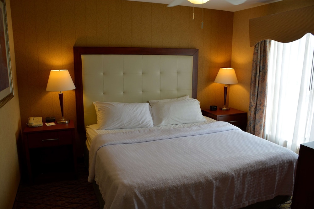 Suite, 1 King Bed with Sofa bed - Photo 1