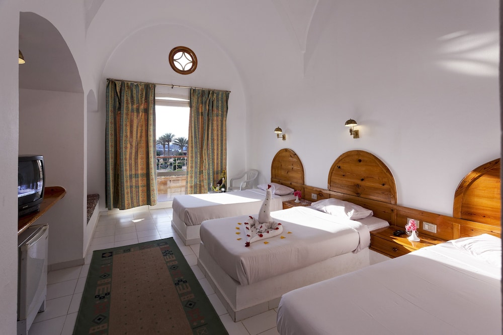 Basic Triple Room photo 1