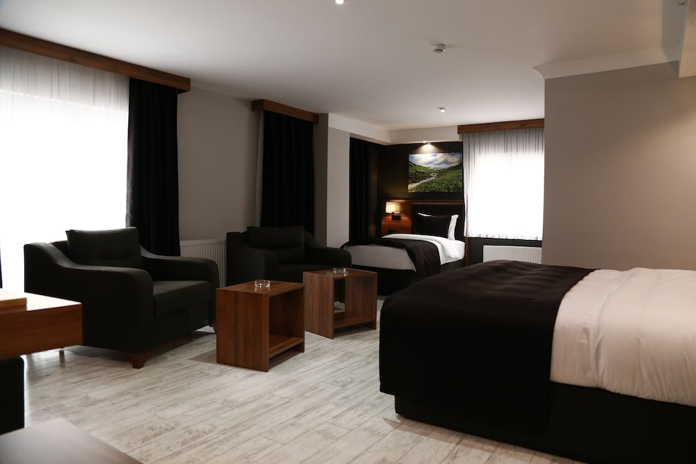 Family Room, City View photo 1
