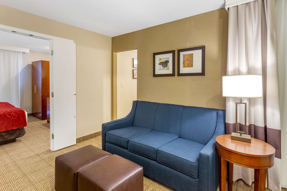 Suite, 1 King Bed with Sofa bed, Accessible, Non Smoking - Photo 3