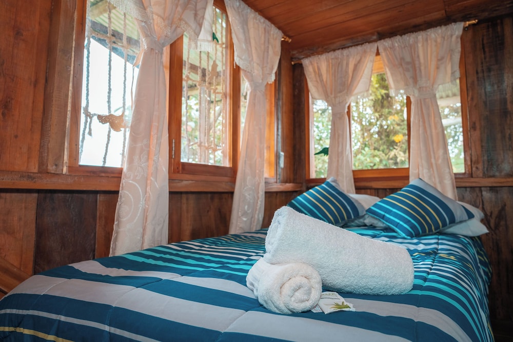 Family Room, Private Bathroom, Garden View photo 1