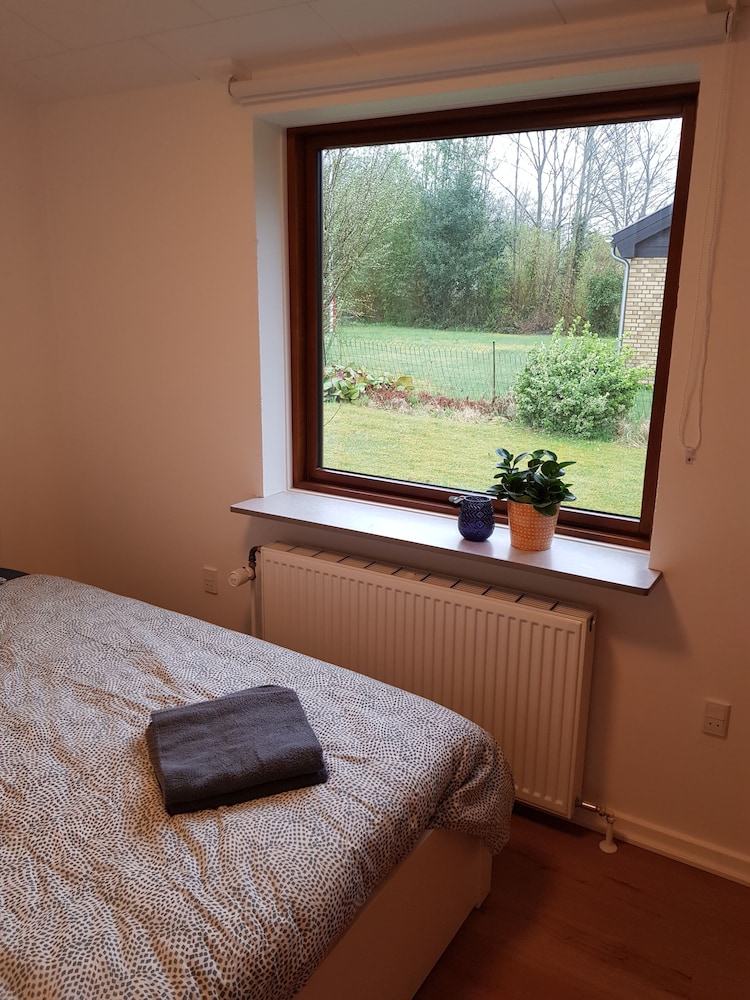 Comfort Apartment photo 3