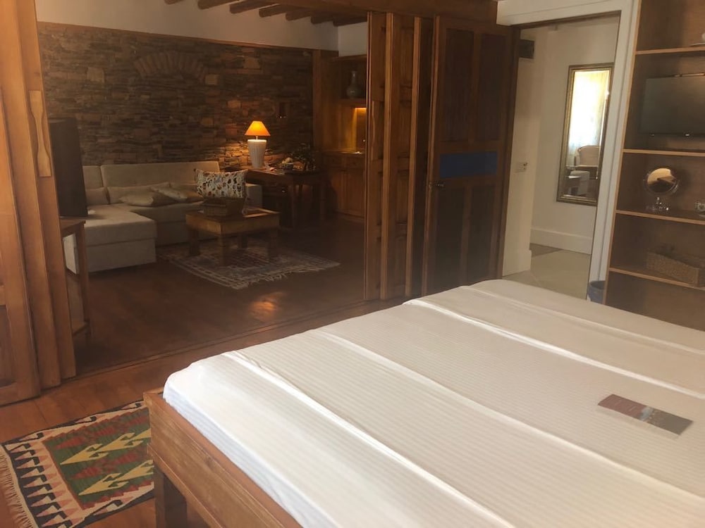 Deluxe Suite, 1 King Bed with Sofa bed, Sea View photo 1