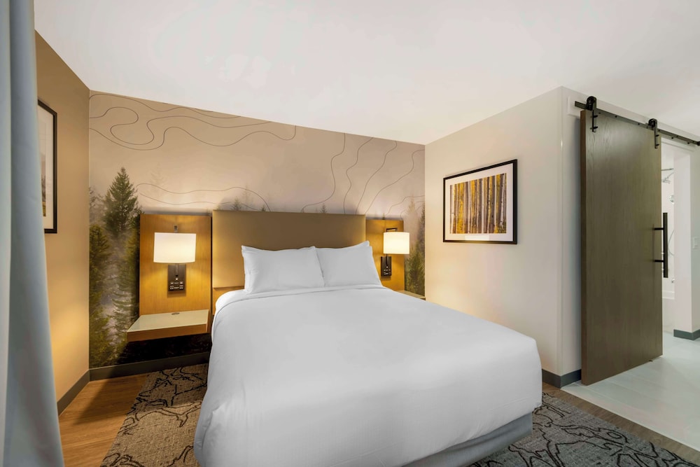 Standard Room, 1 King Bed, Accessible, Refrigerator & Microwave photo 1