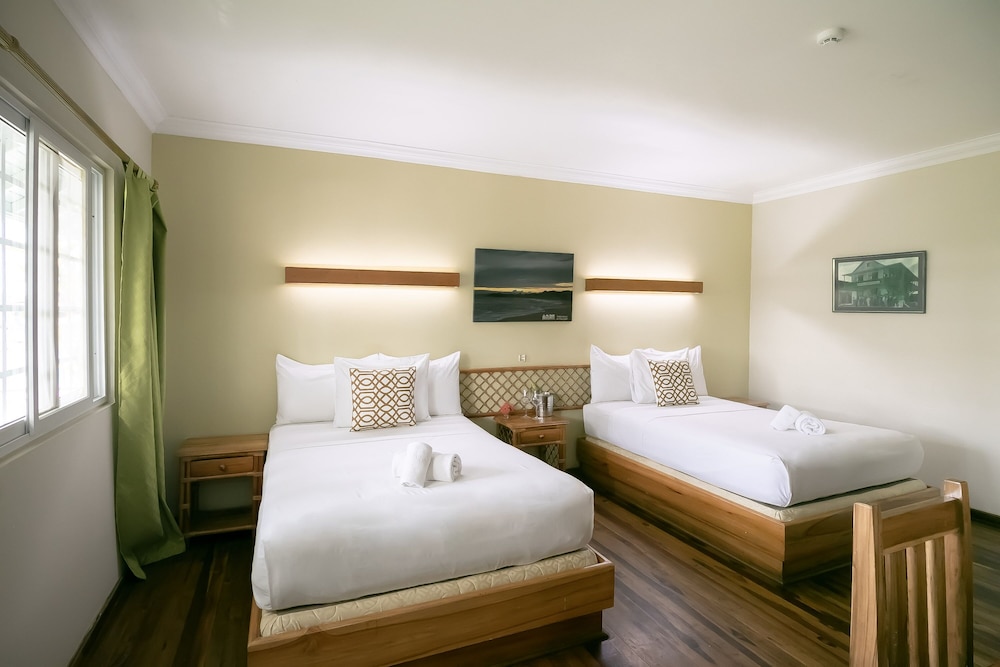 Twin Room photo 1