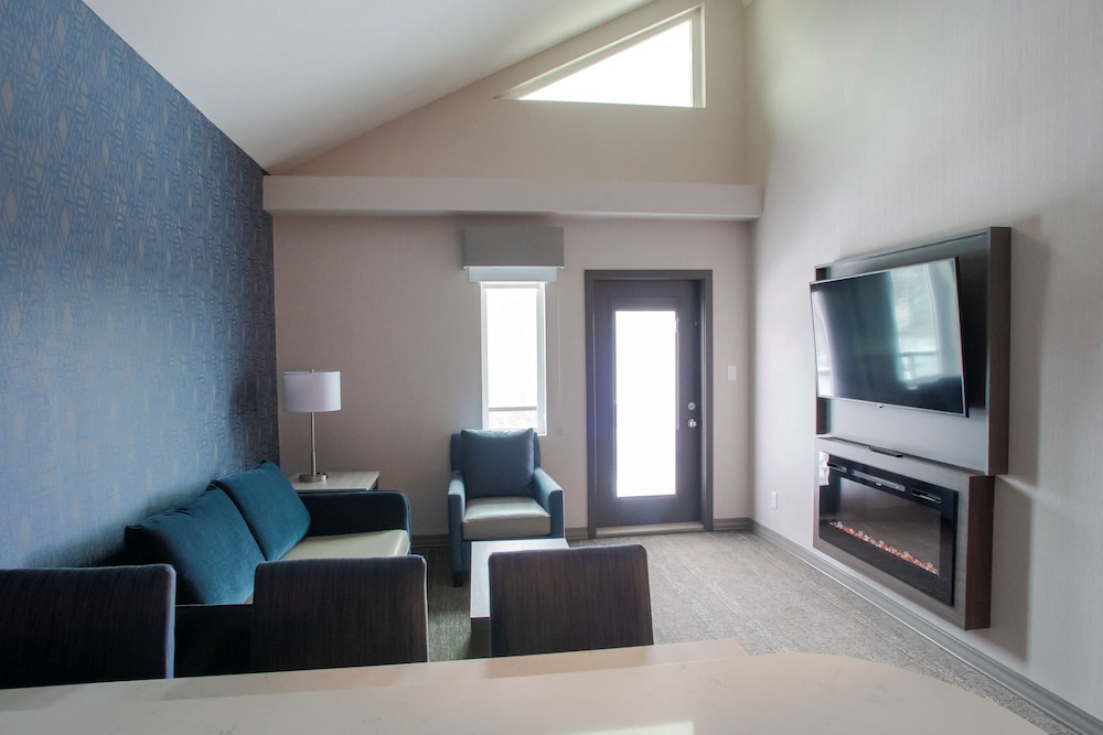 Suite, 1 King Bed, Non Smoking, Kitchen (with Sofabed) - Photo 5