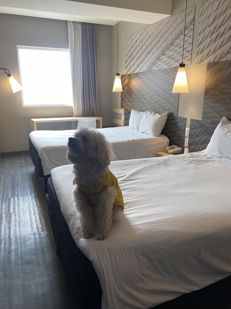 Standard Double Room, 2 Double Beds thumbnail 6