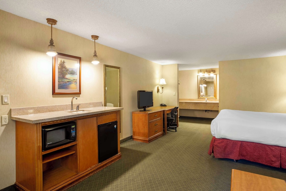 Standard Room, 1 King Bed, Non Smoking, Refrigerator & Microwave (with Sofabed) photo 2