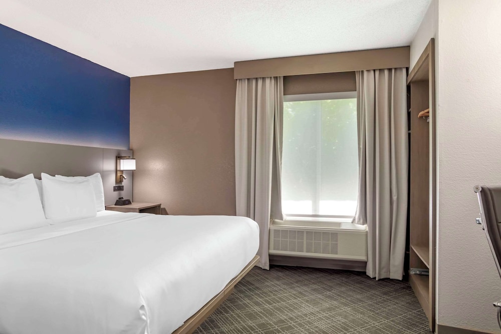 Suite, 1 King Bed with Sofa bed, Non Smoking photo 3