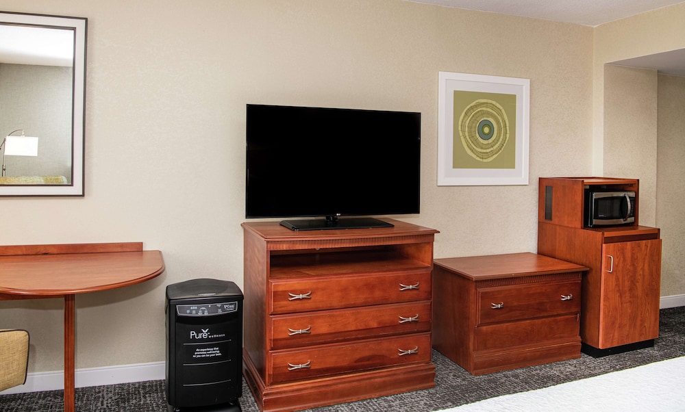 Room, 1 King Bed (Pure Wellness) - Photo 1