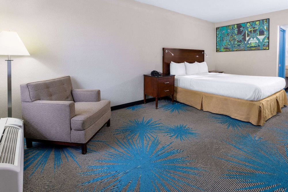 Suite, 1 King Bed