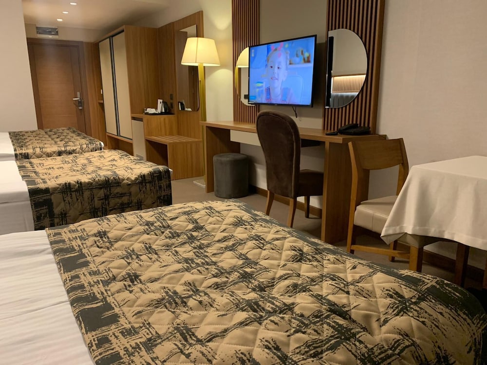 Deluxe Double or Twin Room photo 3