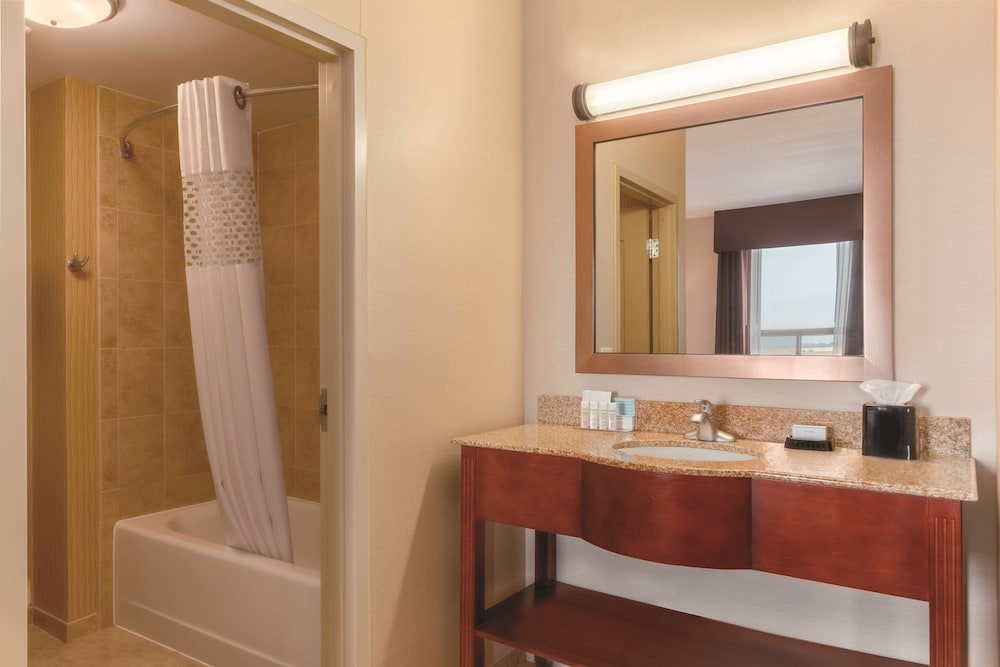 King Studio Suite - Photo 6